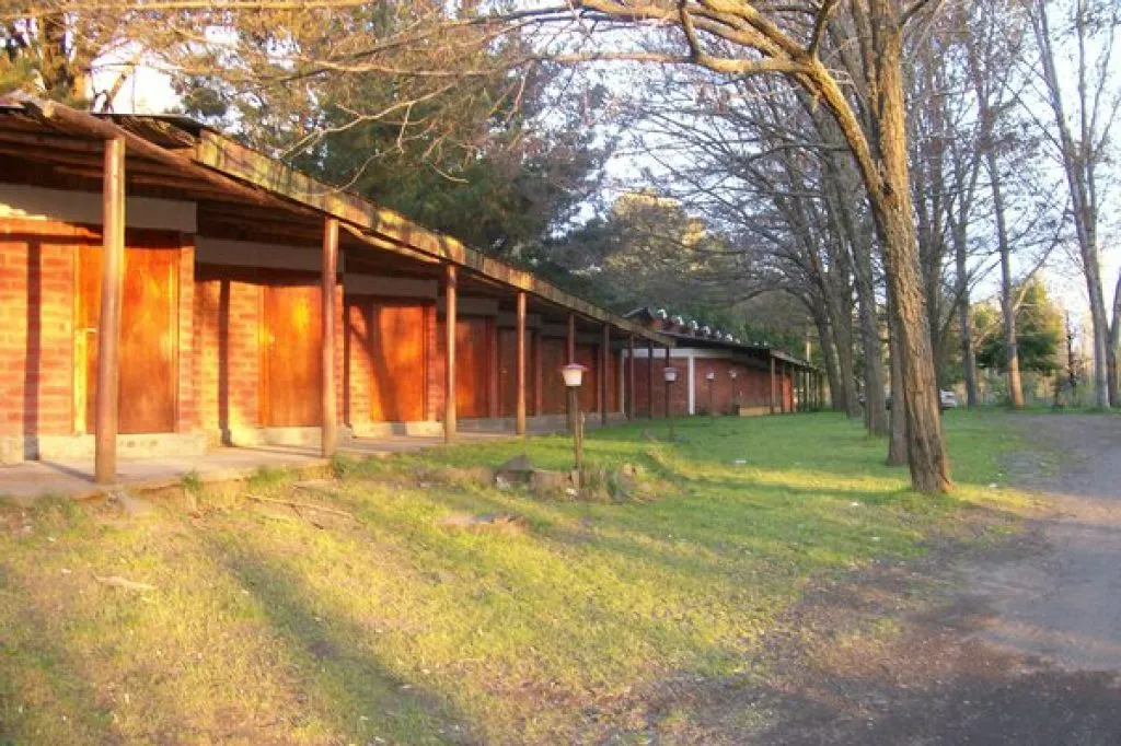 Piscina del complejo Los Manantiales rodeada de árboles y vegetación nativa